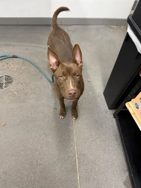 Ernie