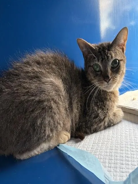 Winnie