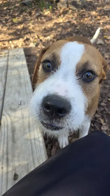 Timmy