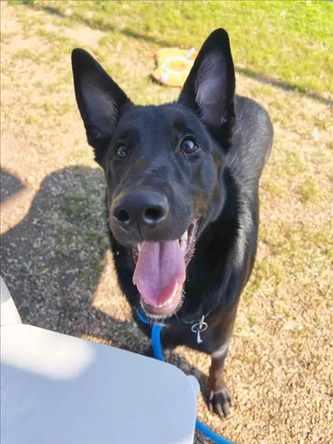 Luna