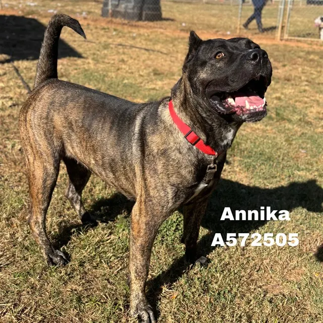Annika