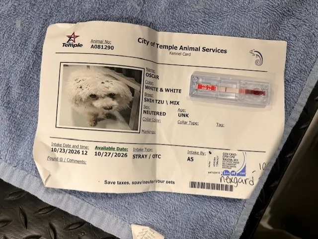 Oscar