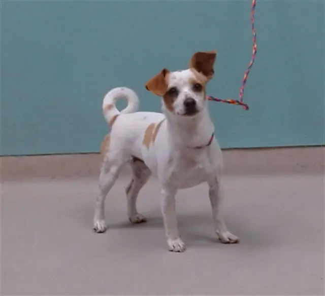 Beverly