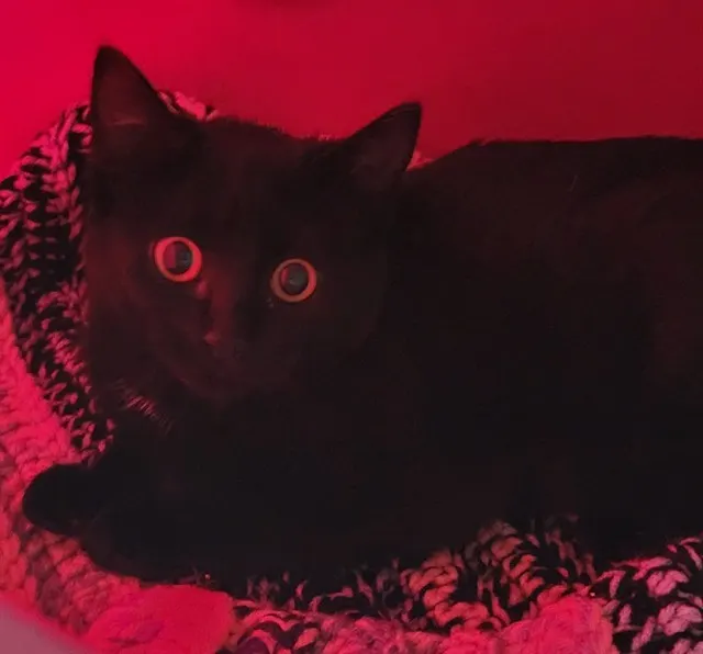 Spooktacular