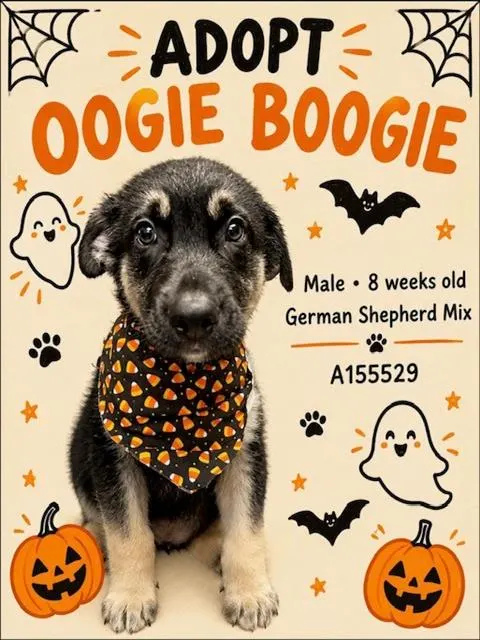 Oogie Boogie