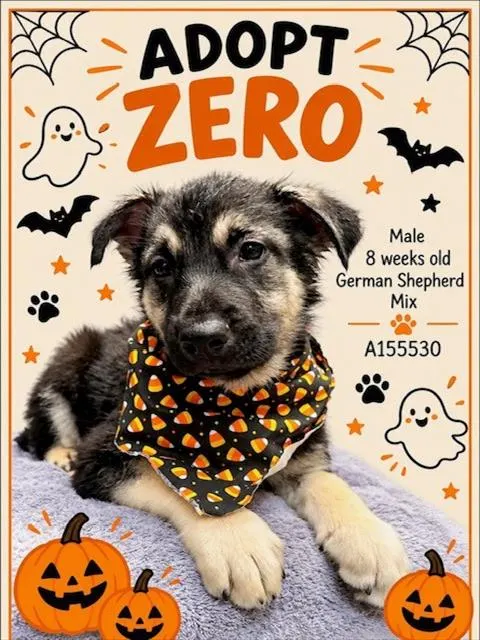 Zero