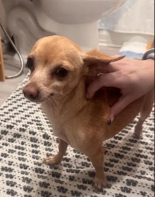 Pablo