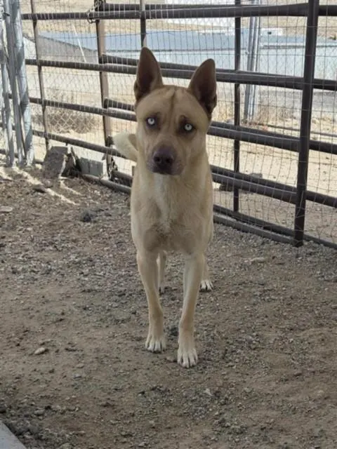 Max