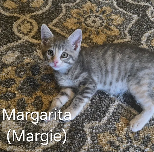 Margarita