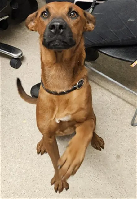 Milo