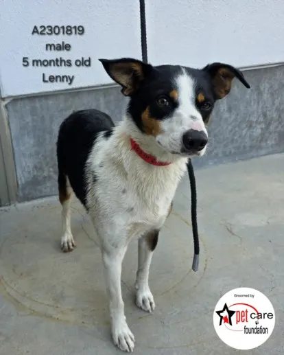 Lenny