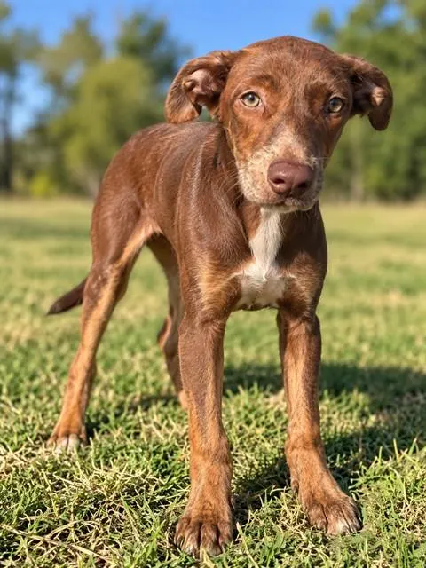 Ernie