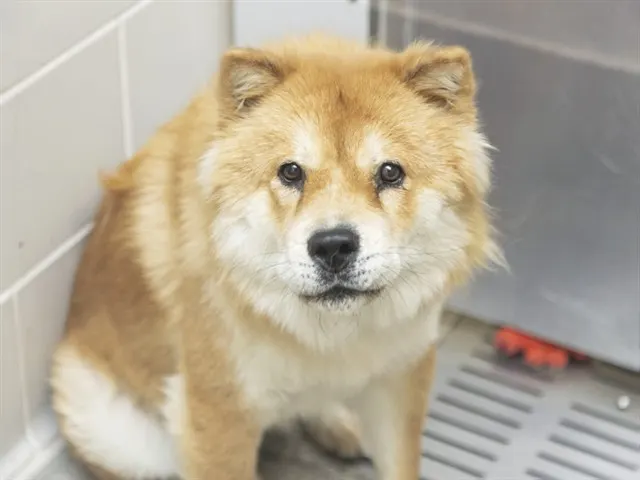 Winnie