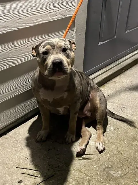 Luna