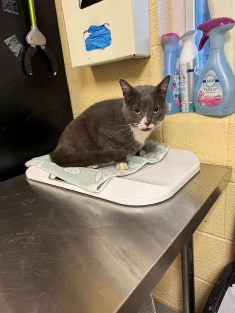 *Bub*