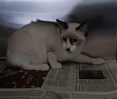 Tom