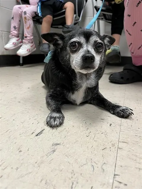 Coco