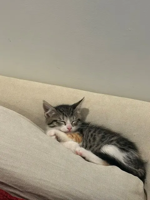 Matilda