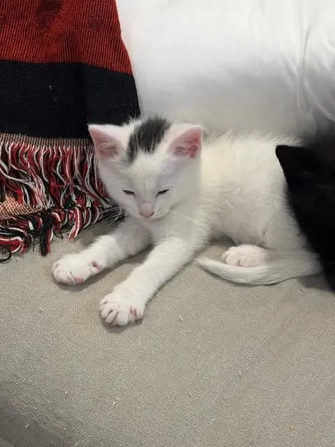 George