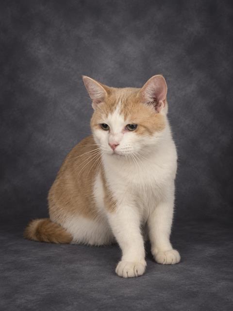 Max