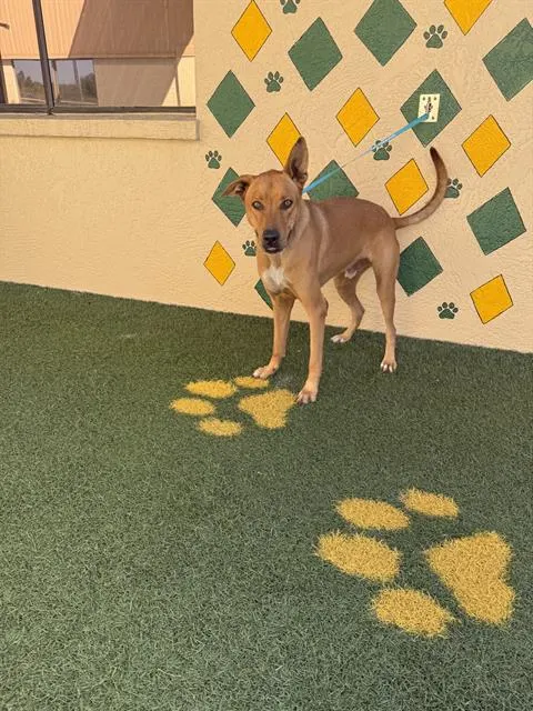 Max