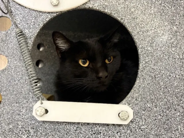 Luna