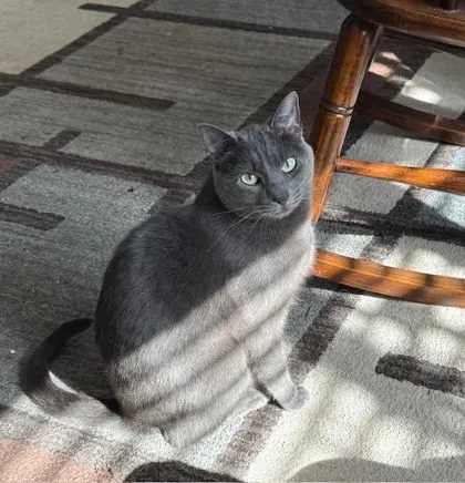 Jupiter