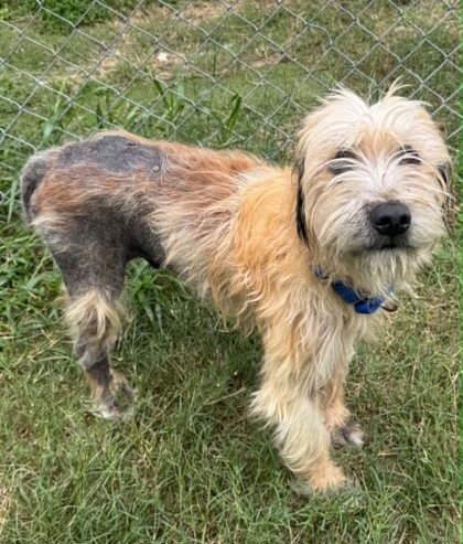 Jax - Off-Site Foster