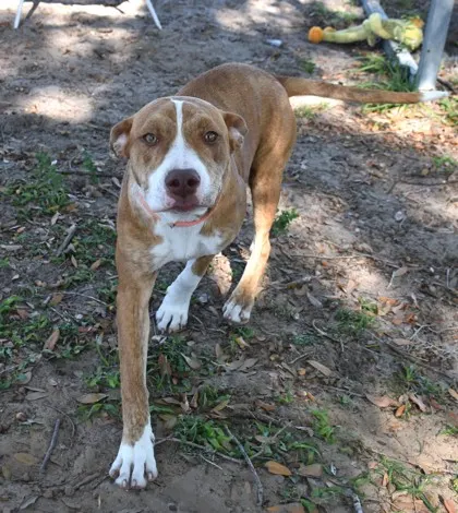 Stray "Stacy" Washington/Roose