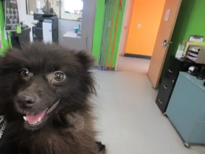 Stray/S Salisbury Terr/Avail 8