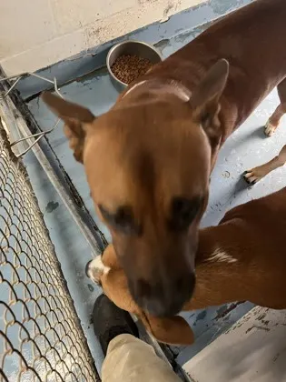 Max
