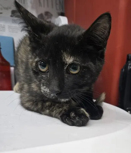 Nadia