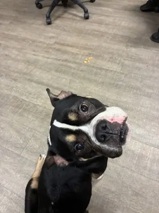 Eugene