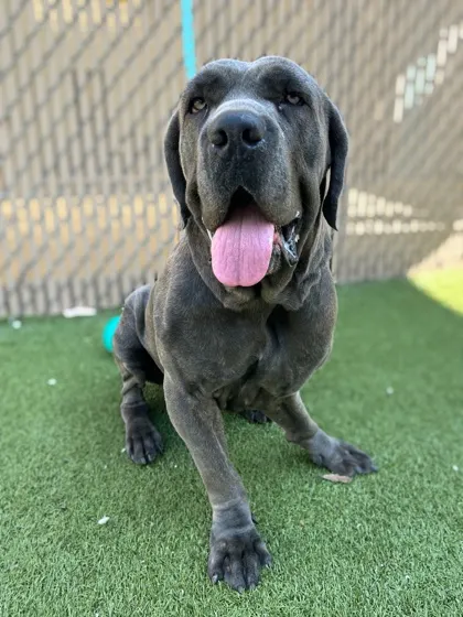 Big Earl