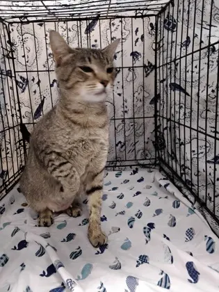 Mom
