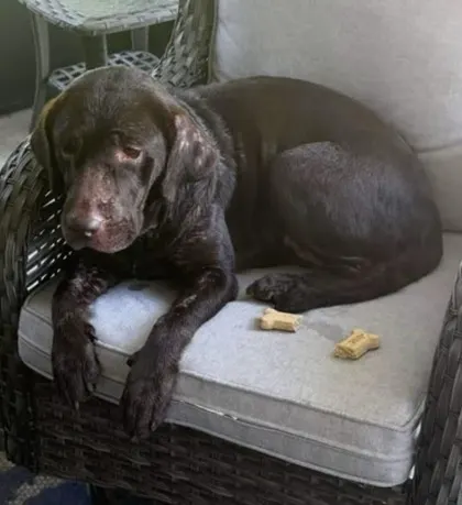 Delilah