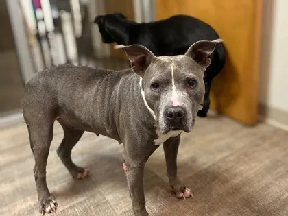 Rosie